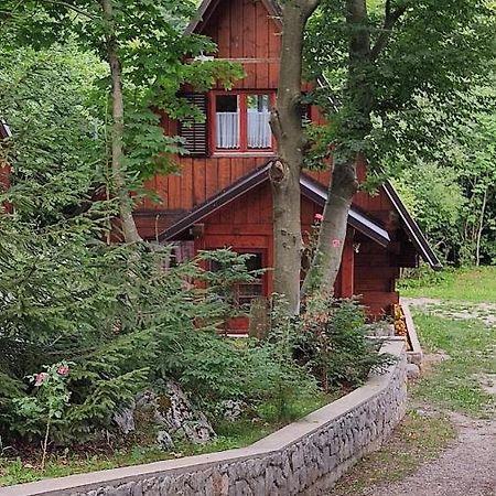 Kuca Za Odmor "Med Strmci" Villa Zlobin Luaran gambar