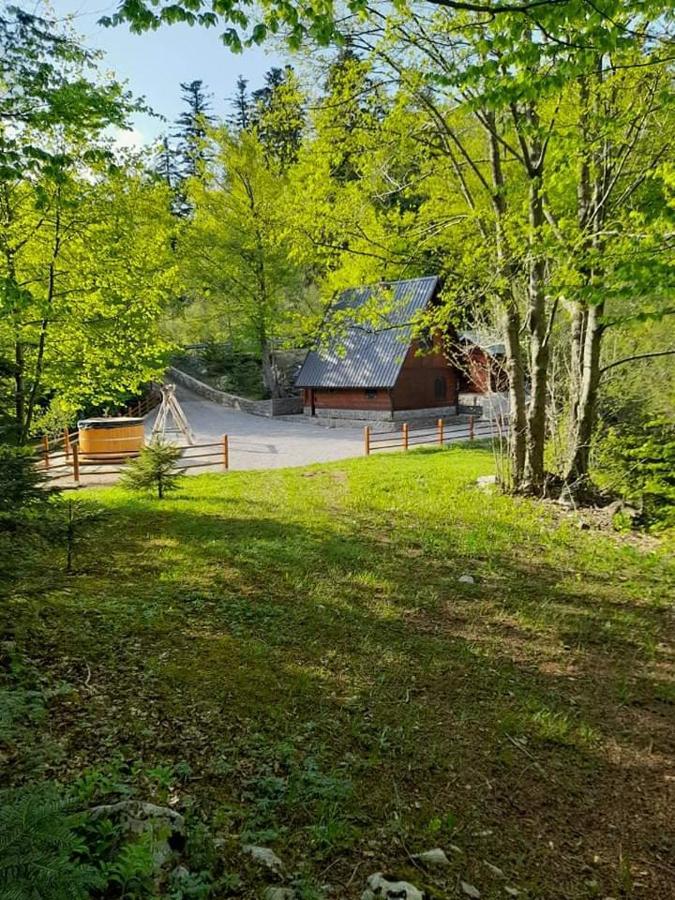 Kuca Za Odmor "Med Strmci" Villa Zlobin Luaran gambar