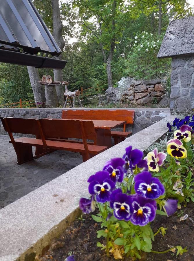 Kuca Za Odmor "Med Strmci" Villa Zlobin Luaran gambar