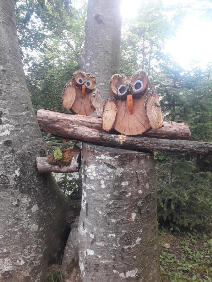 Kuca Za Odmor "Med Strmci" Villa Zlobin Luaran gambar