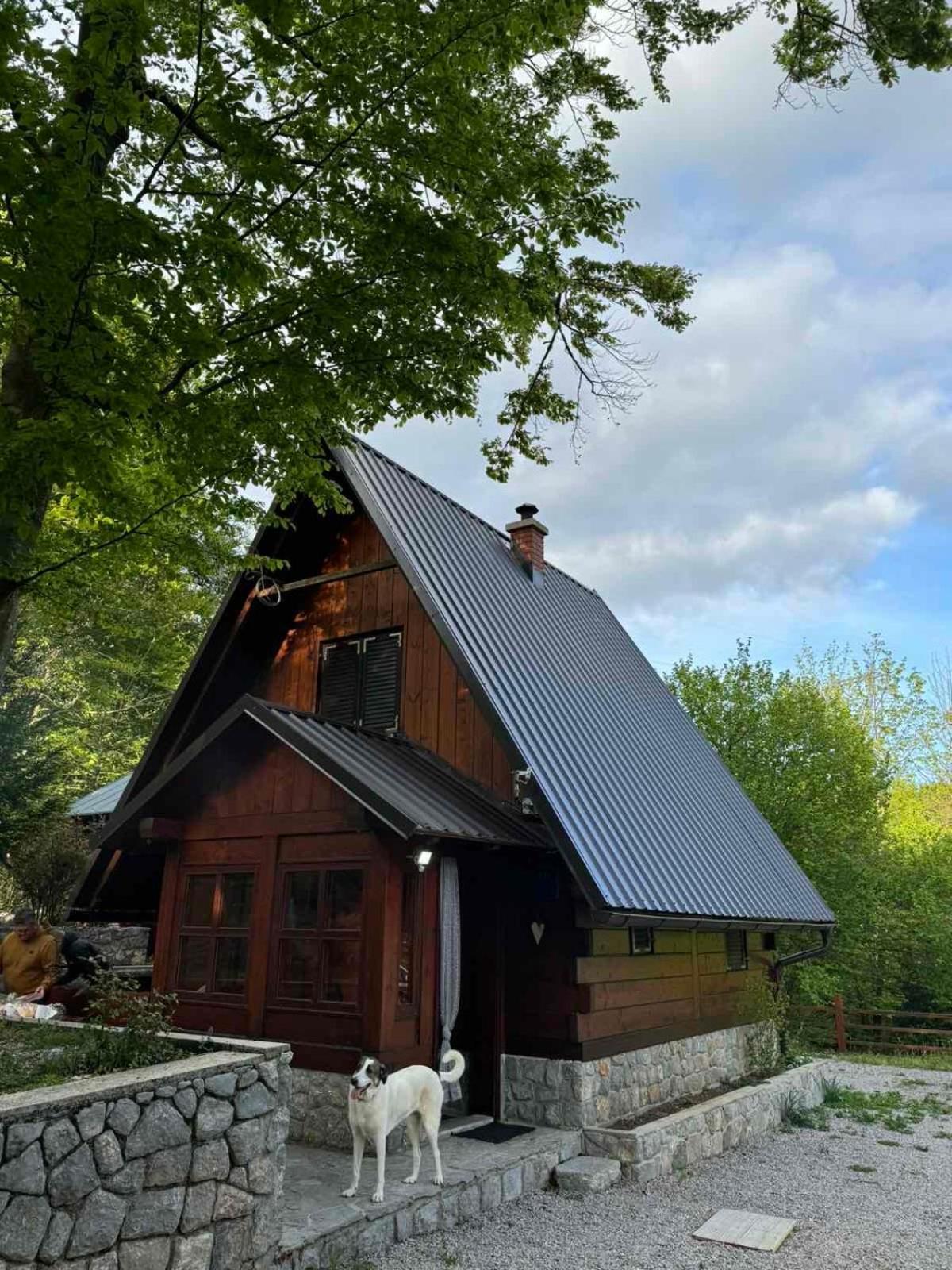 Kuca Za Odmor "Med Strmci" Villa Zlobin Luaran gambar